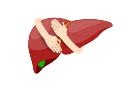 Human hands embracing a healthy liver