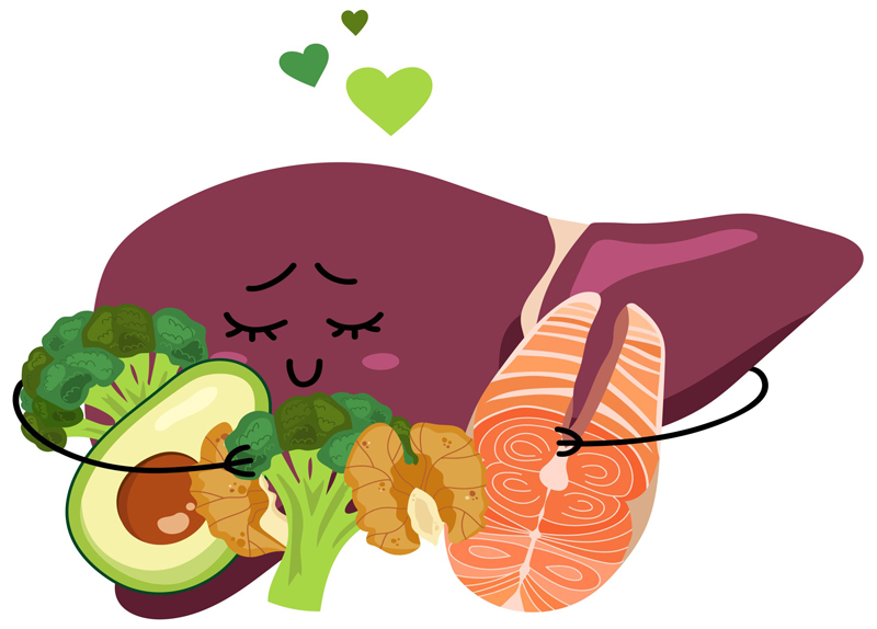 A liver adoring healthy food