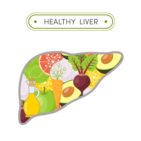 Illustration of a healthy liver encompassing various healthy foods.