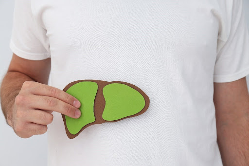 Paper liver in mans hand on white background close up